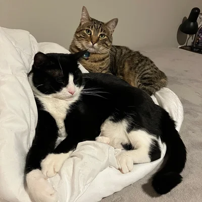 Xena & Midna